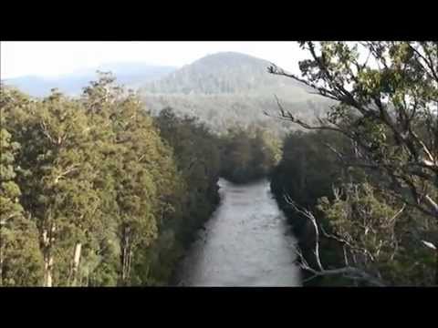 Tahune Airwalk Tasmania - Spectacular Experience