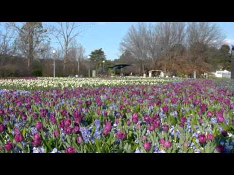 Floriade Canberra 2012 The 25th Year
