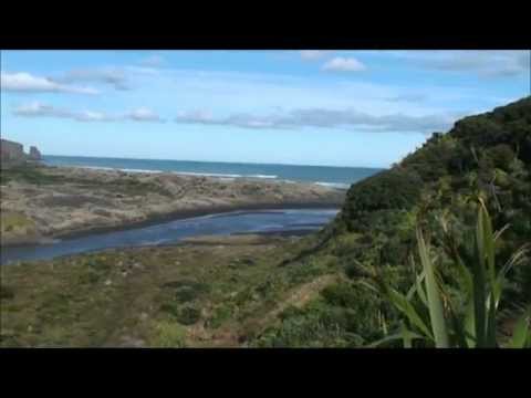 Spectacular Bethells Beach & O'Neills Bay West Auckland